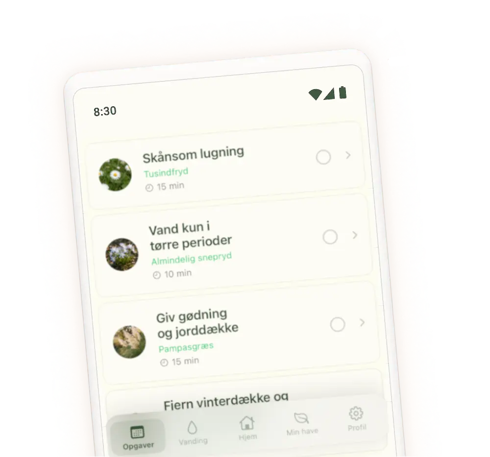 NEFA appen vist på en telefon